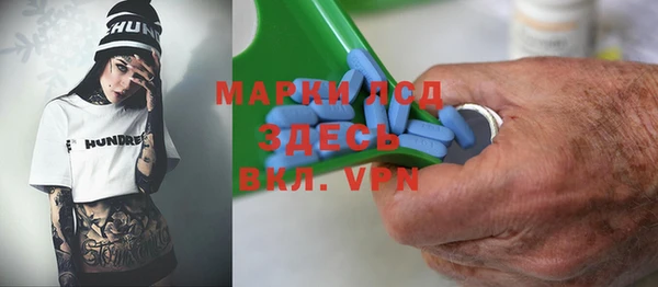 индика Семилуки